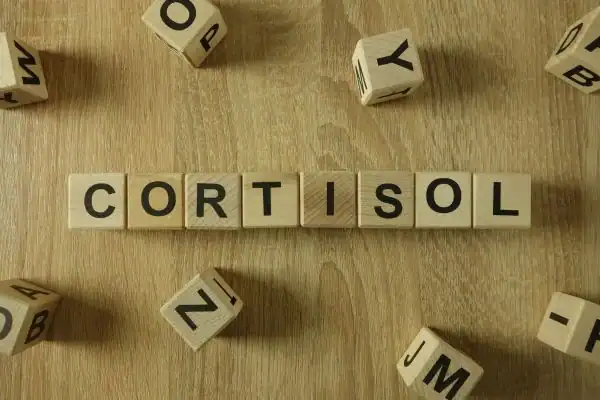 The Hidden Connection: How Stress Shapes Your Fitness and Body Composition 2 Image saying "Cortisol" and how stress Colchester impacts your wellbeing and bodies shape